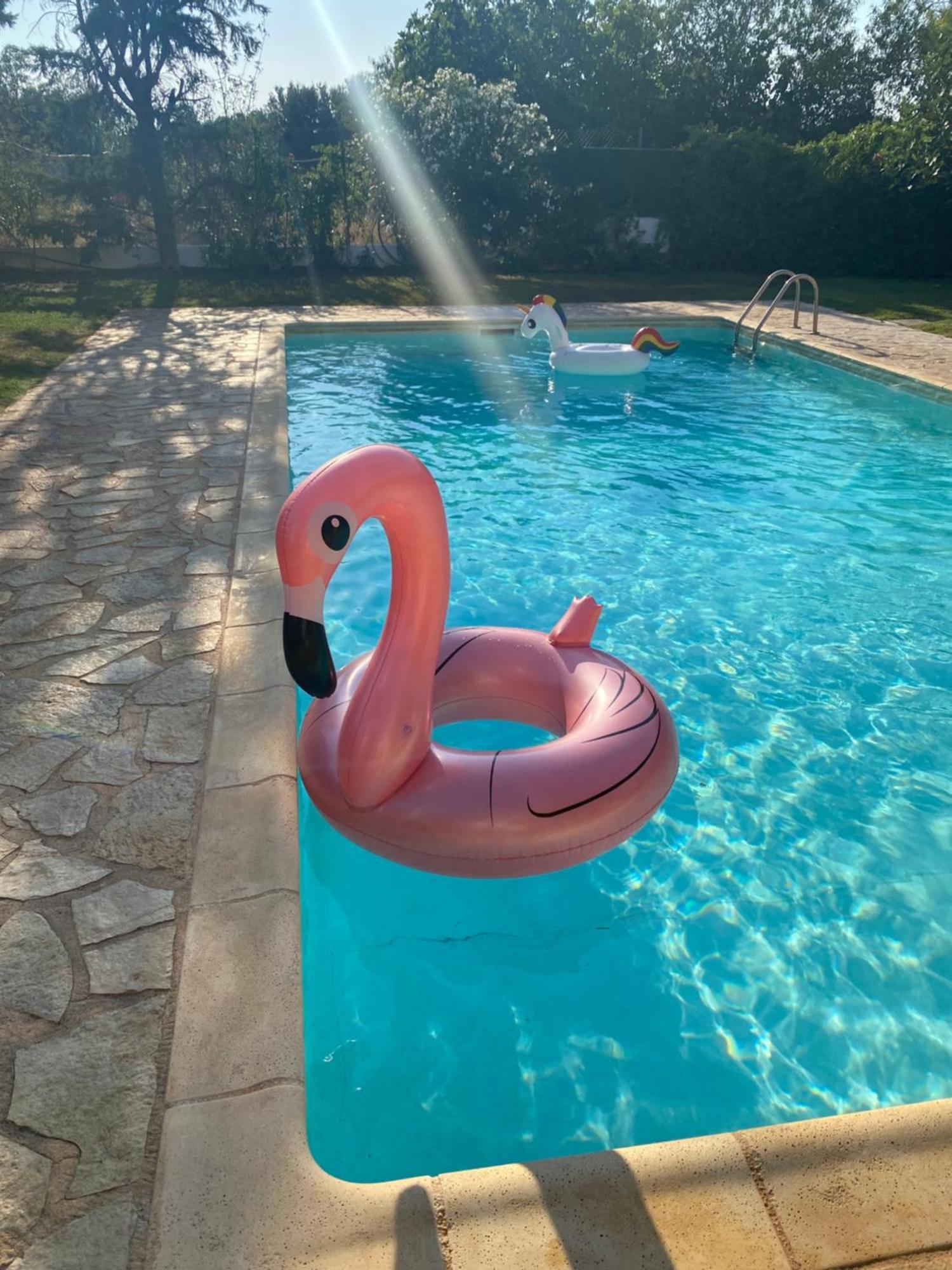 Relaxing Villa With Swimming Pool And Garden Agios Georgios  المظهر الخارجي الصورة