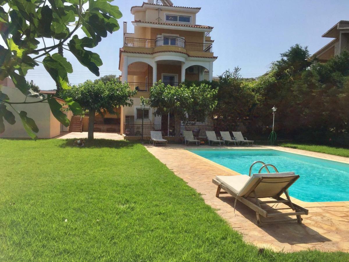 Relaxing Villa With Swimming Pool And Garden Agios Georgios  المظهر الخارجي الصورة