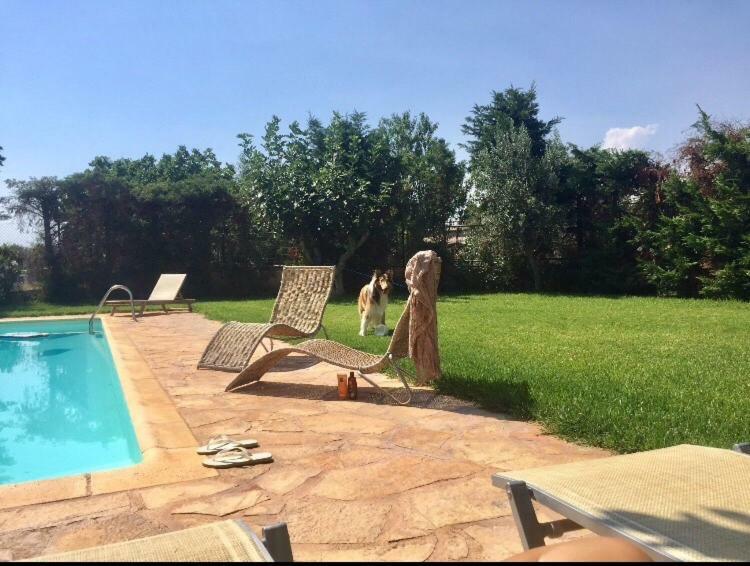 Relaxing Villa With Swimming Pool And Garden Agios Georgios  المظهر الخارجي الصورة